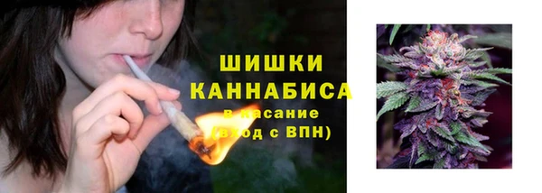 спиды Новозыбков