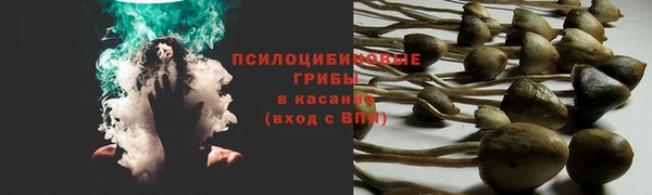метадон Бородино