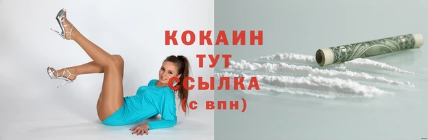 Альфа ПВП Верея
