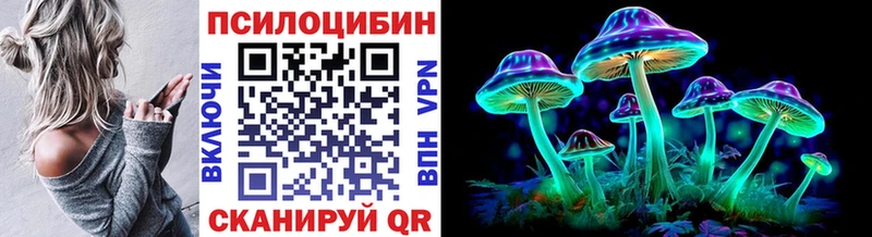 Псилоцибиновые грибы Magic Shrooms  Грязи 
